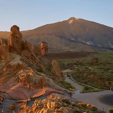 Palm Oasis Tenerife דירה קוסטה דל סילנסיו