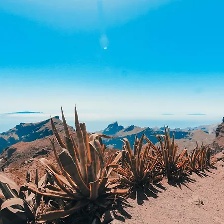 Διαμέρισμα Palm Oasis Tenerife Costa Del Silencio