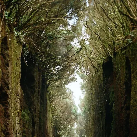 Apartamento Palm Oasis Tenerife