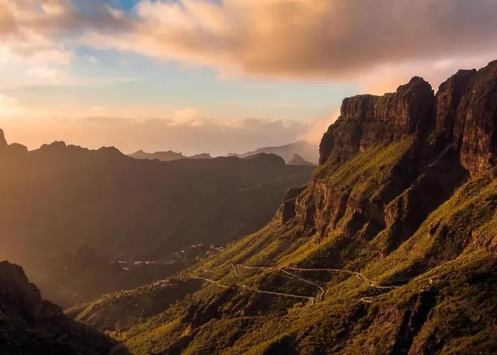 公寓 Palm Oasis Tenerife 德尔锡伦西奥海岸