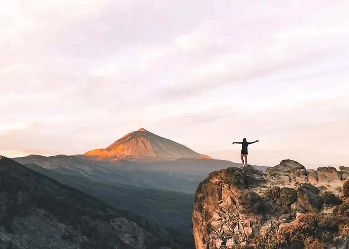 Apartment Palm Oasis Tenerife *