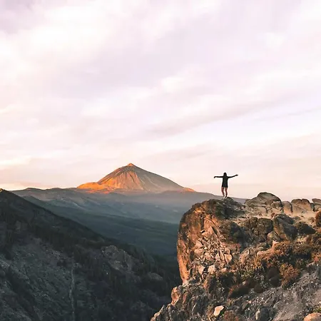 Appartement Palm Oasis Tenerife *